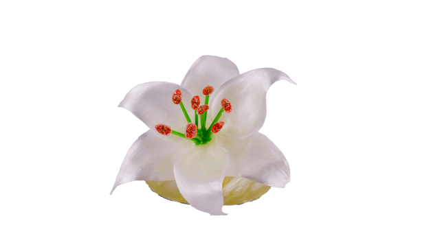 Réaliser une fleur blanche