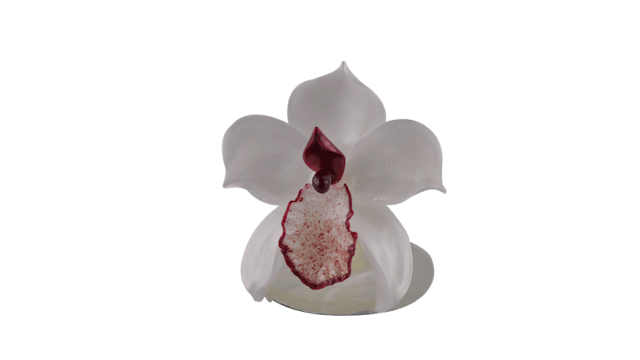 Réaliser une orchidée