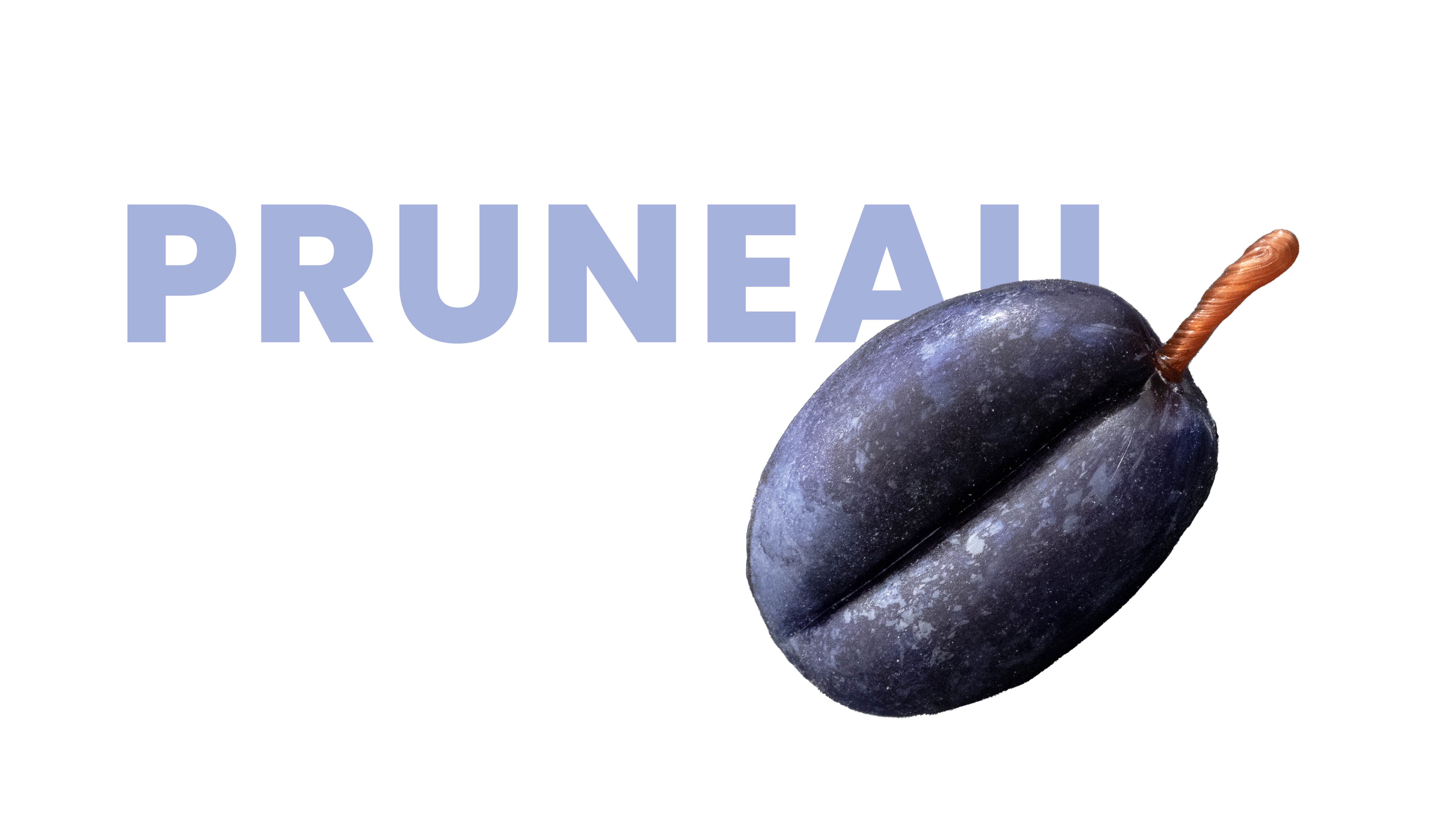Pruneau