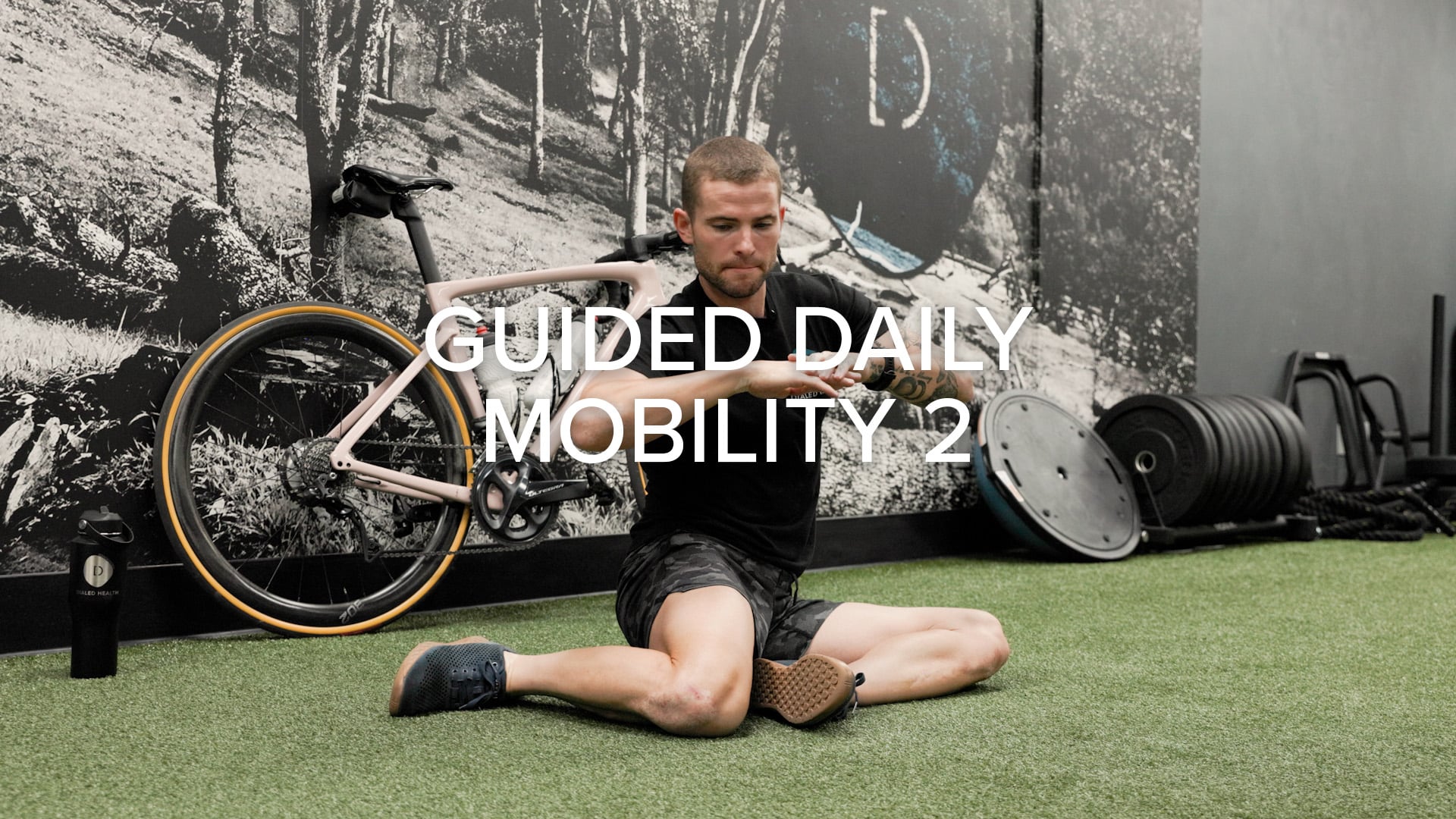 Mobility 2