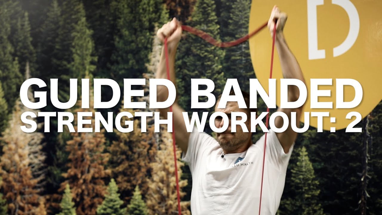 Band 2