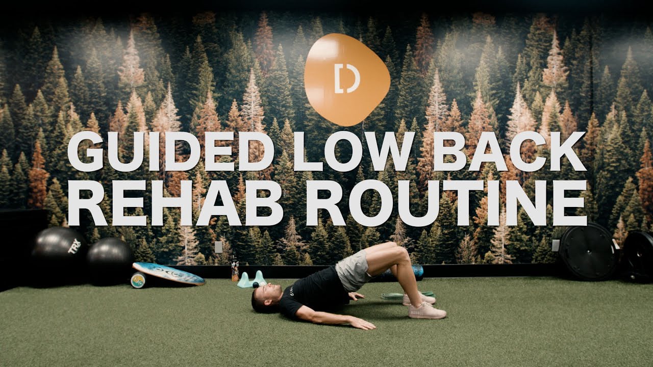 Low Back Pain