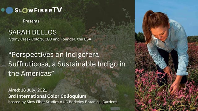 Perspectives on Indigofera Suffrutico...