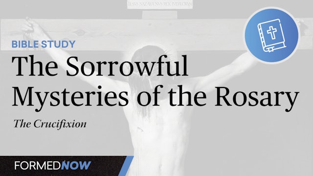 Bible Study on the Sorrowful Mysteries: The Crucifixion