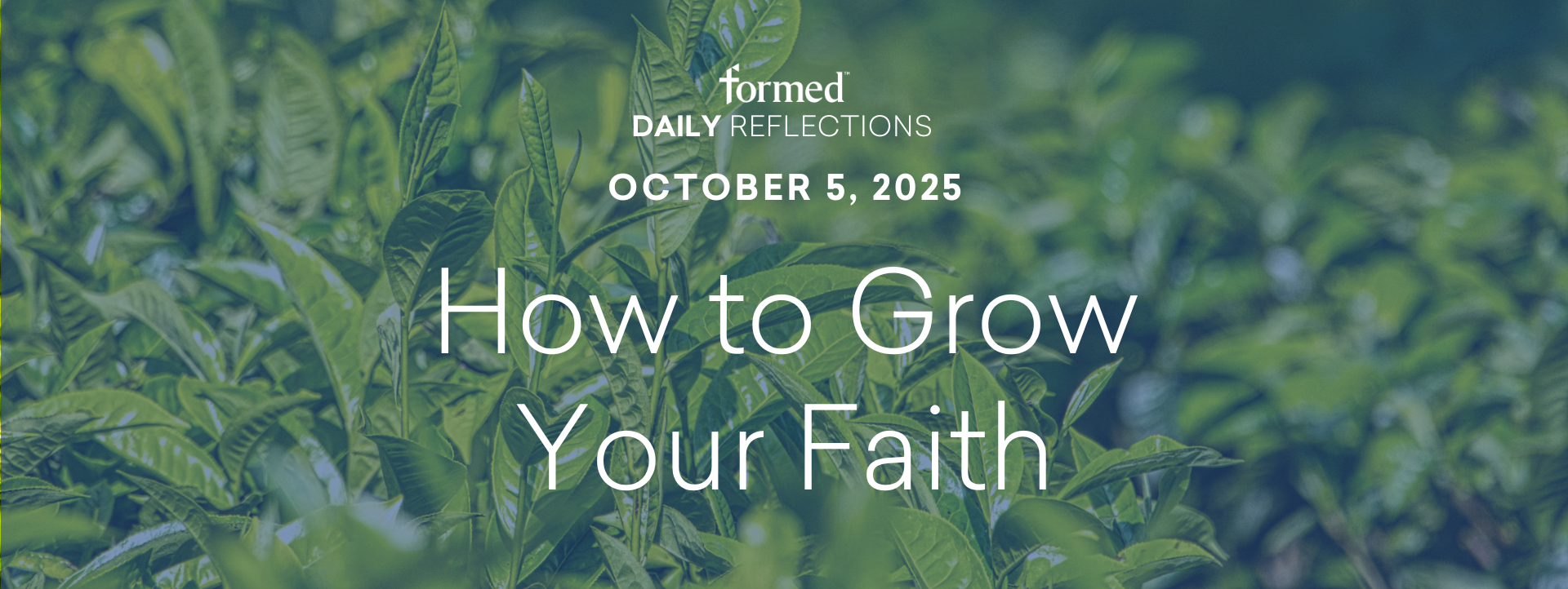 Daily Reflections — St. Faustina — October 5, 2025