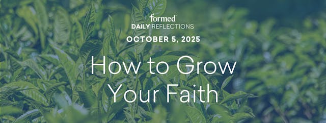 Daily Reflections — St. Faustina — Oc...