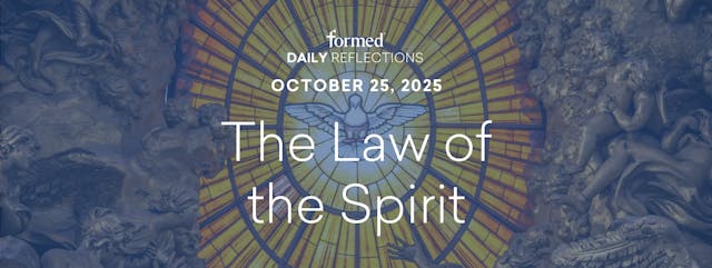 Daily Reflections — October 25, 2025