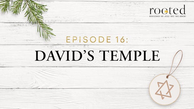 David’s Temple | Rooted | Episode 16