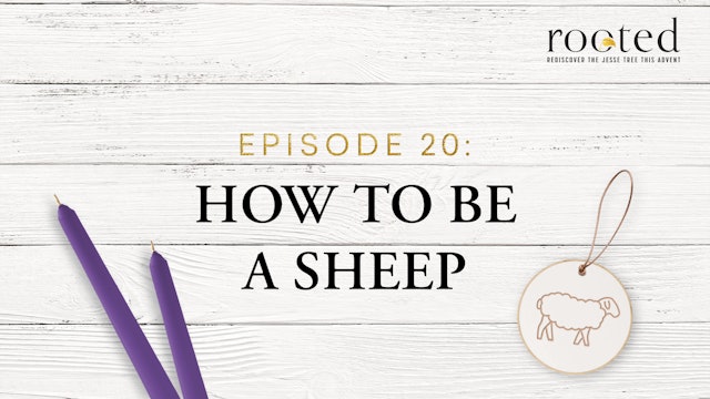How to Be a Sheep | Rooted | Episode 20