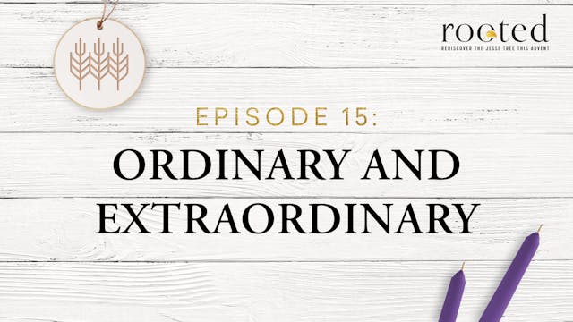 Ordinary and Extraordinary | Rooted |...