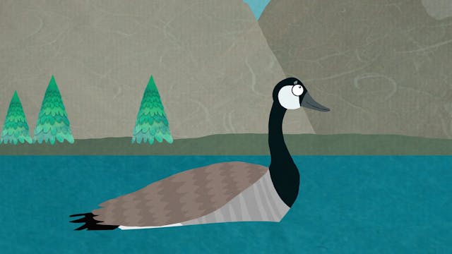 Goose