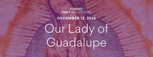 Daily Reflections – Our Lady of Guada...