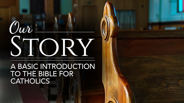 Our Story: A Basic Introduction to the Bible for Catholics