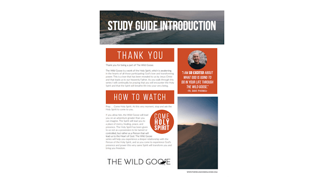 The Wild Goose Study Guide