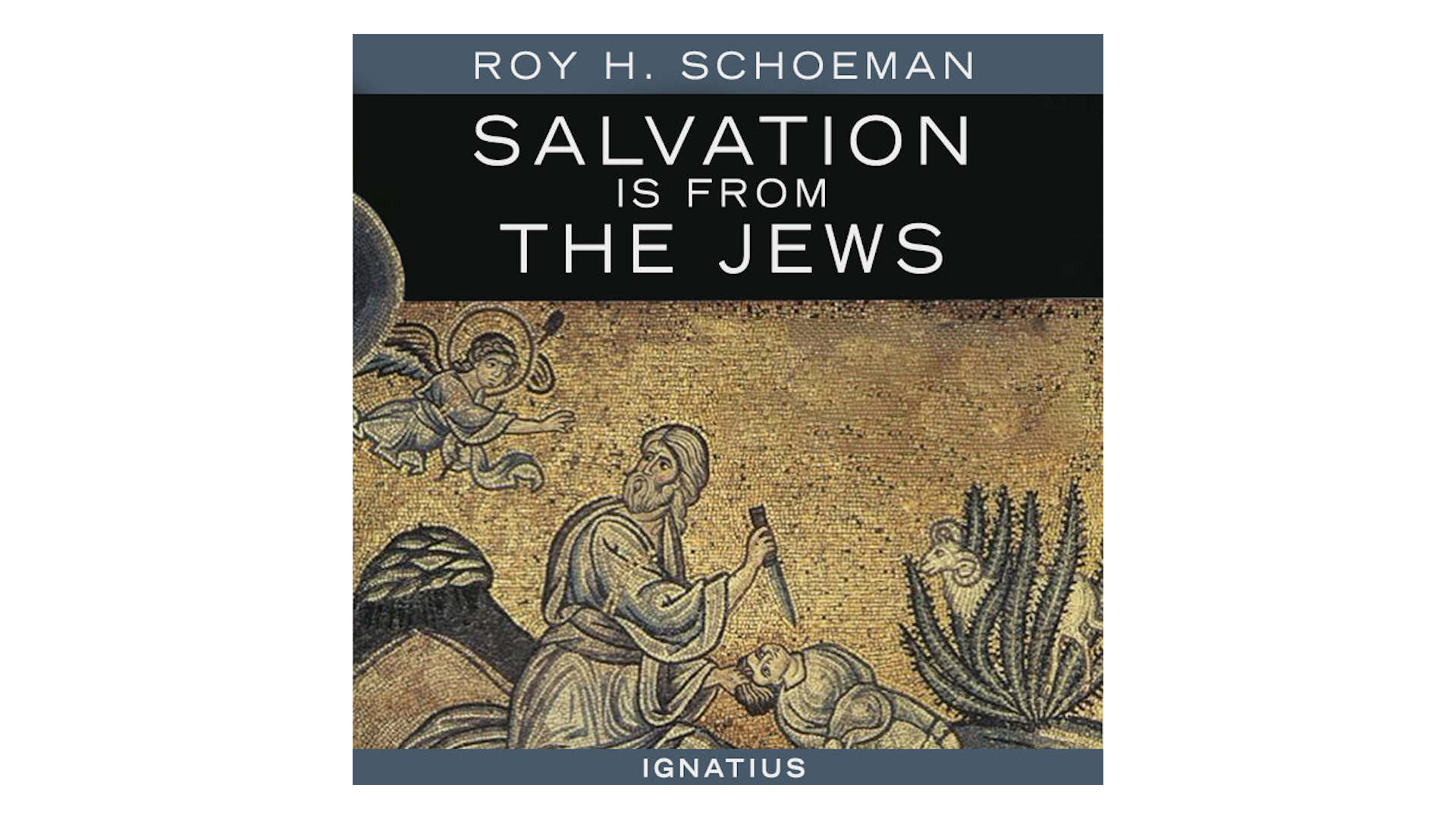 Salvation Is from the Jews by Roy Schoeman
