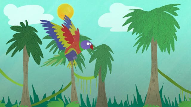 Pajaros