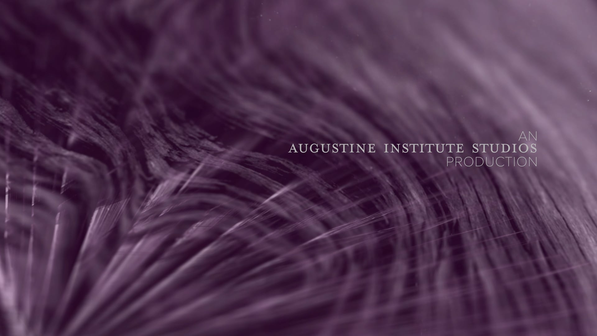 Día 38: "Este es mi cuerpo… Este es el cáliz de mi Sangre..."