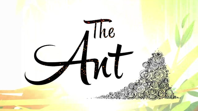 The Ant