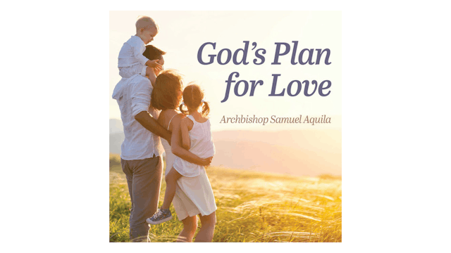 God's Plan for Love: Humanae Vitae, S...