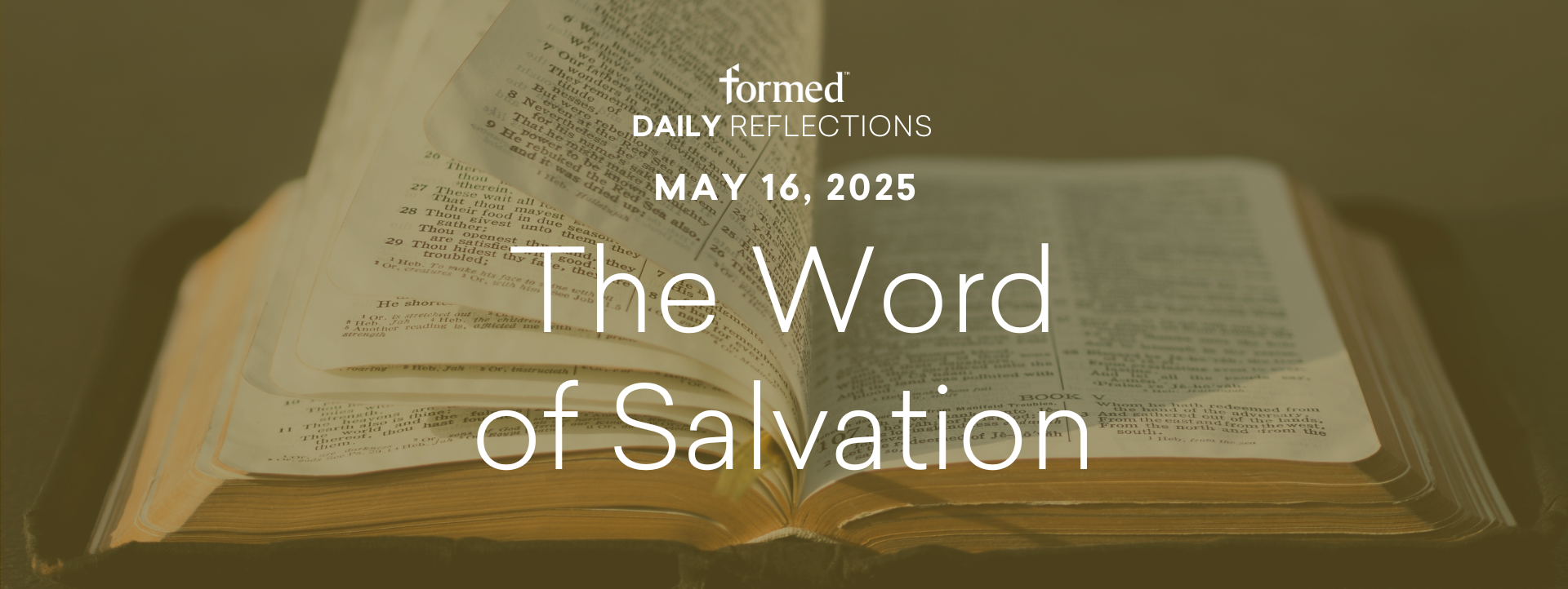 Easter Daily Reflections — May 16, 2025