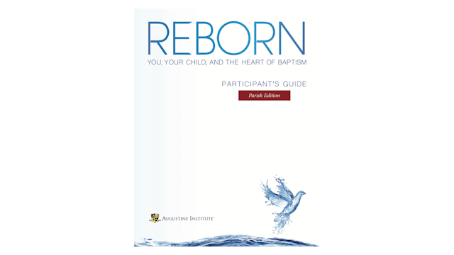 Reborn Study Guide PDF