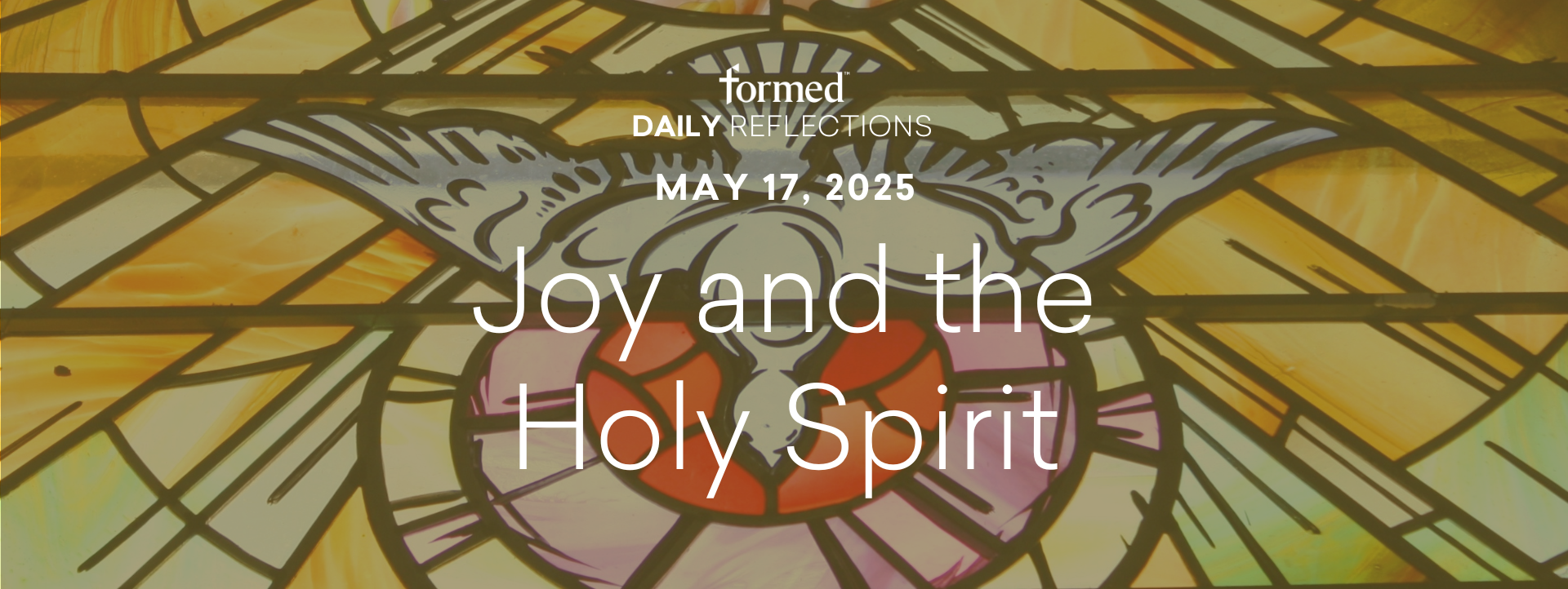Easter Daily Reflections — May 17, 2025
