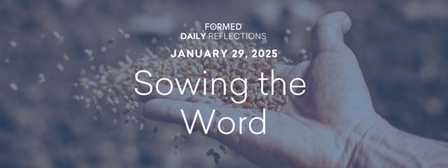 Daily Reflections — January 29, 2025