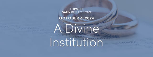 Daily Reflections — October 6, 2024