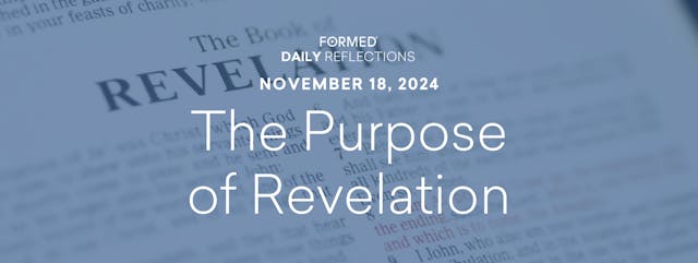 Daily Reflections – November 18, 2024