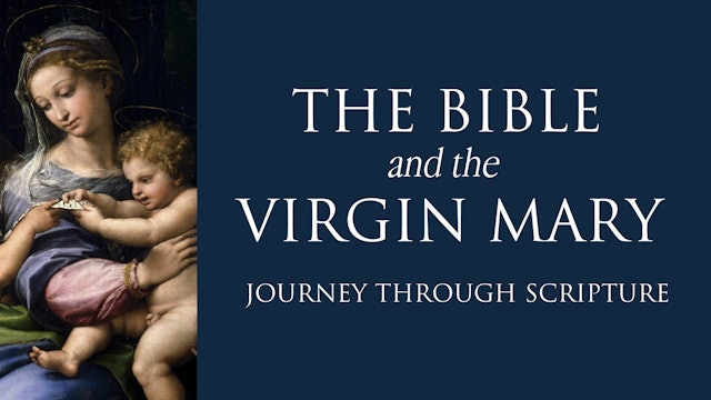 The Bible and the Virgin Mary