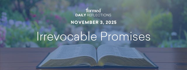 Daily Reflections — November 3, 2025