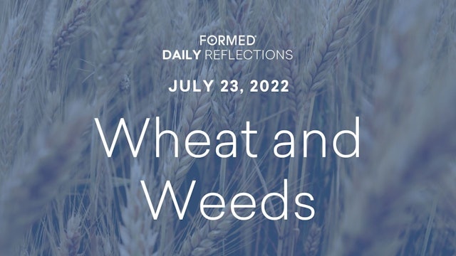 Daily Reflections – July 23, 2022