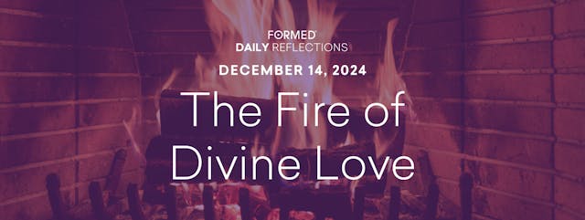 Daily Reflections – December 14, 2024