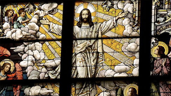 Transcendence: Is Unconditional Love Real?