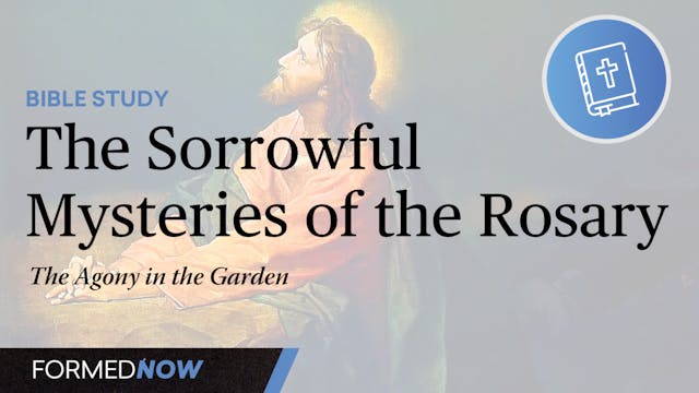 Bible Study on the Sorrowful Mysterie...