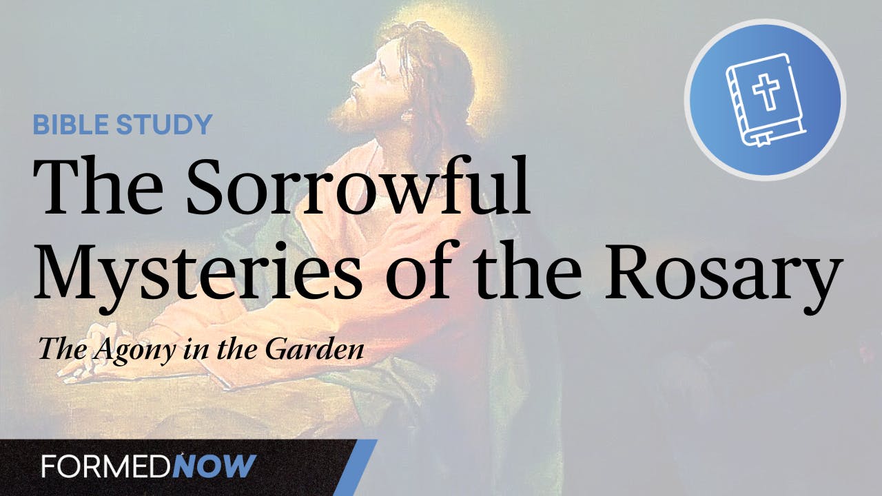 bible-study-on-the-sorrowful-mysteries-the-agony-in-the-garden-all