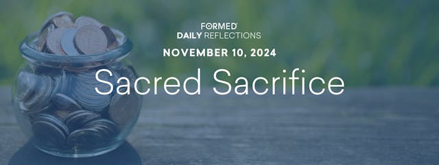 Daily Reflections – November 10, 2024