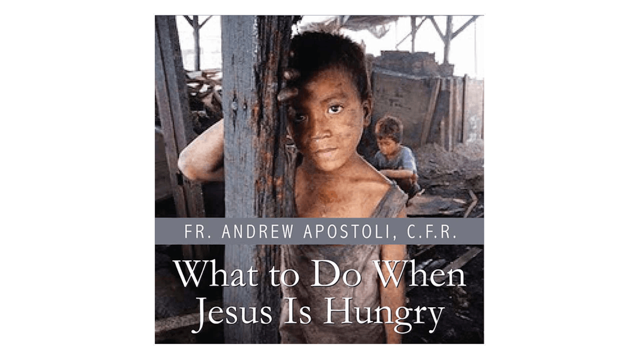 What to Do When Jesus Is Hungry? A Practical Guide to the Works of Mercy by Fr. Andrew Apostoli