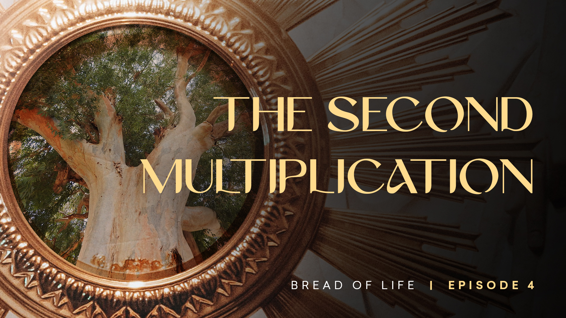 The Second Multiplication | Bread of Life | Episode 4