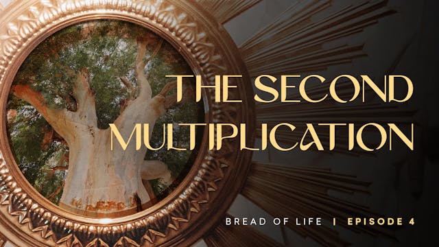 The Second Multiplication | Bread of ...