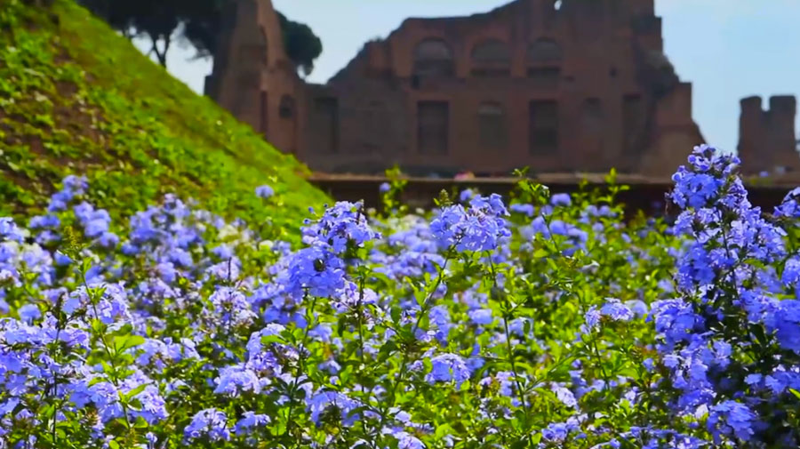 El misterio pascual: El misterio de la muerte y la resurrección de Jesús