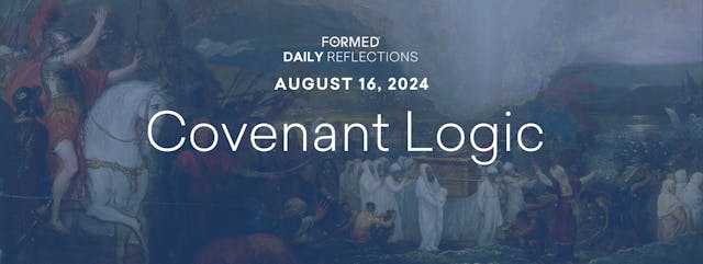 Daily Reflections — August 16, 2024