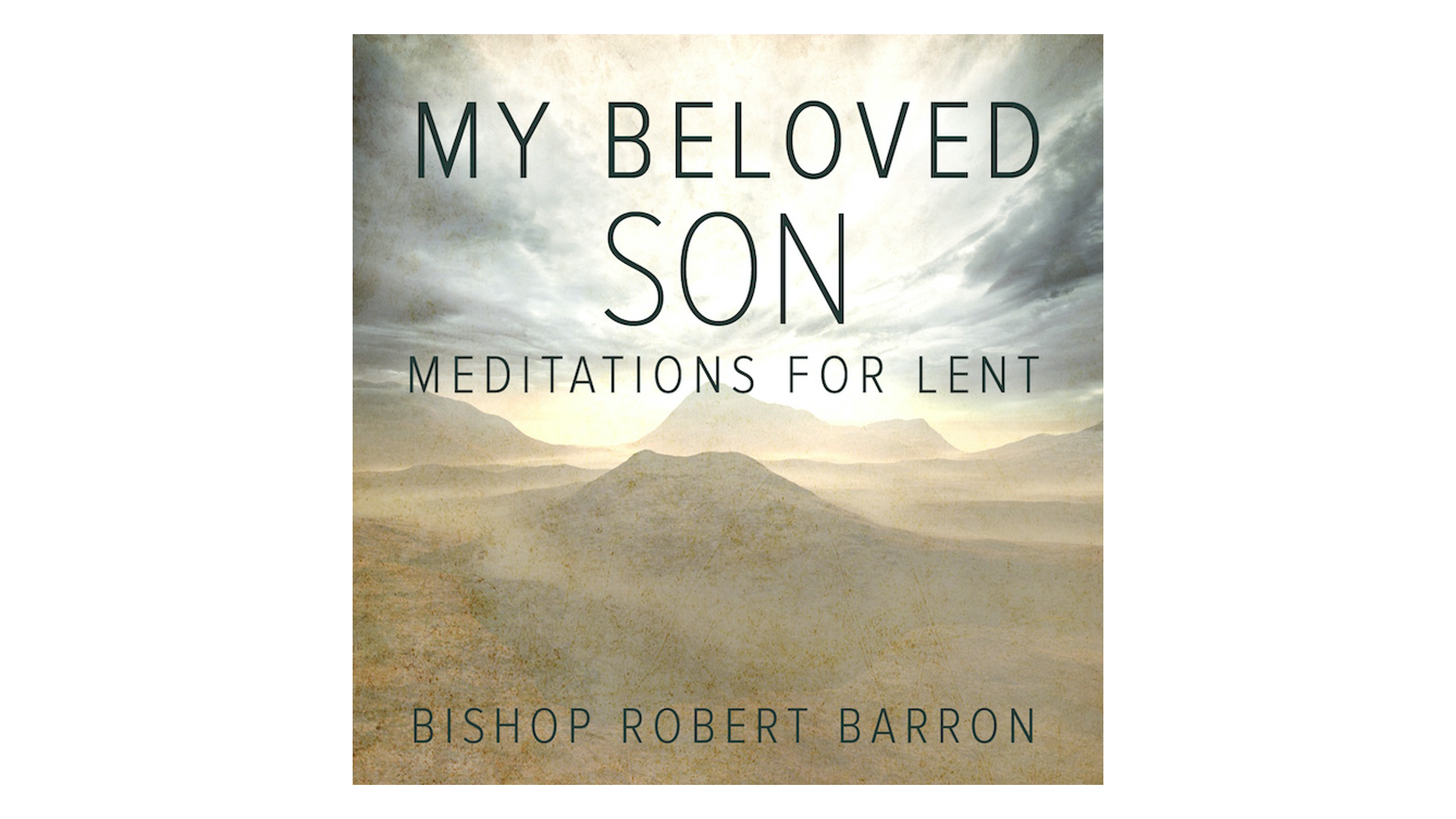 My Beloved Son: Meditations for Lent by Bishop Robert Barron
