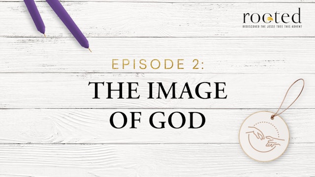 The Image of God | Rooted | Episode 2