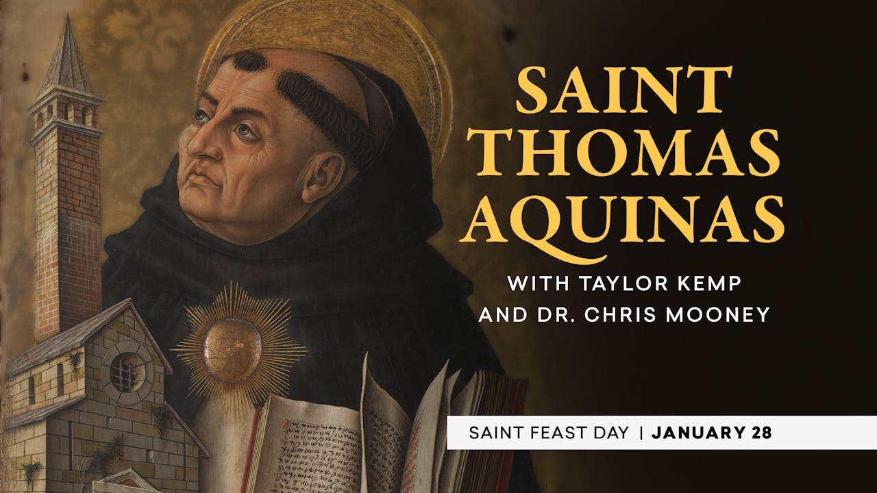 St. Thomas Aquinas | Catholic Saints - Catholic Saints - Formed