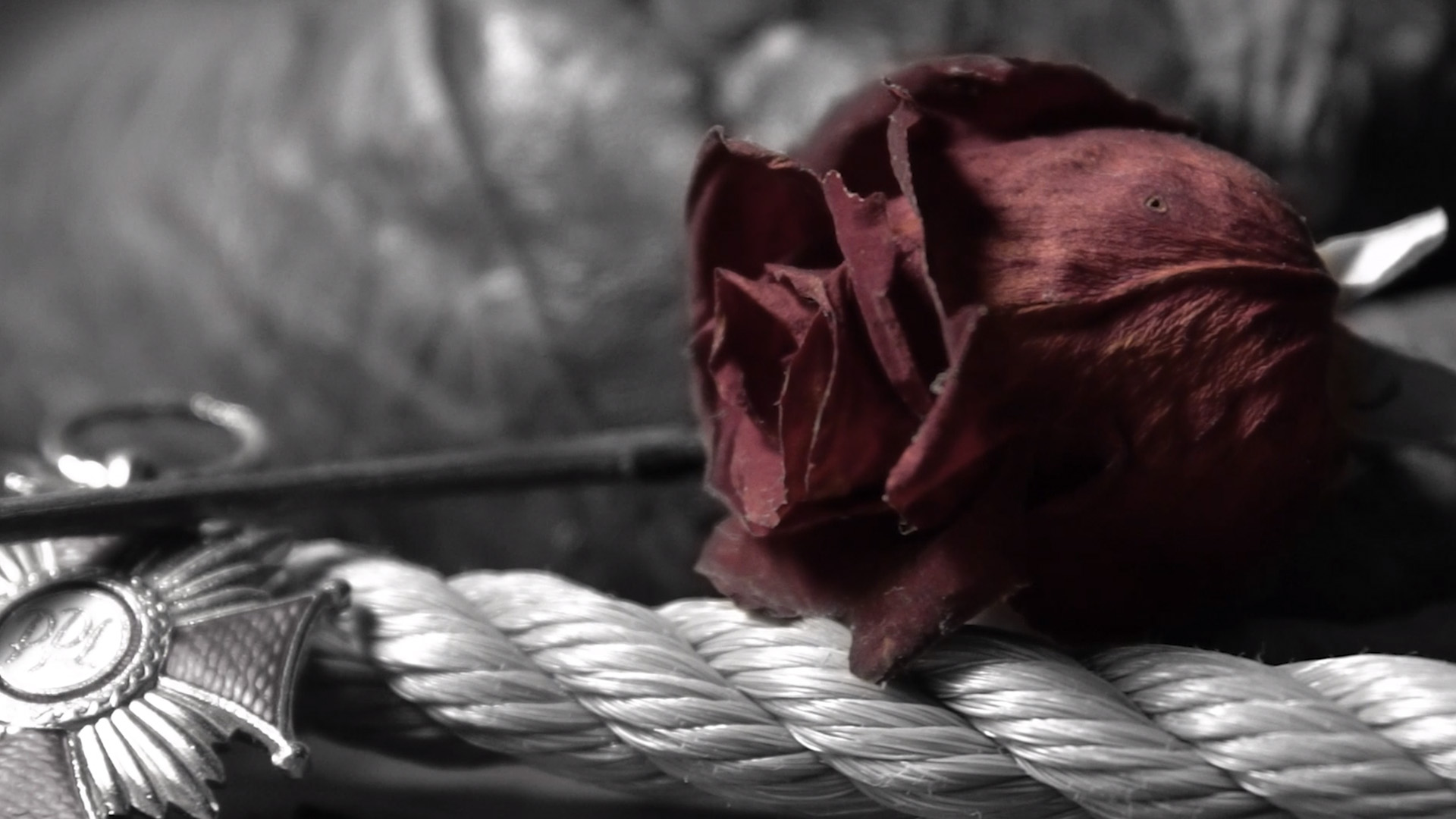 The Example of St. Jerome