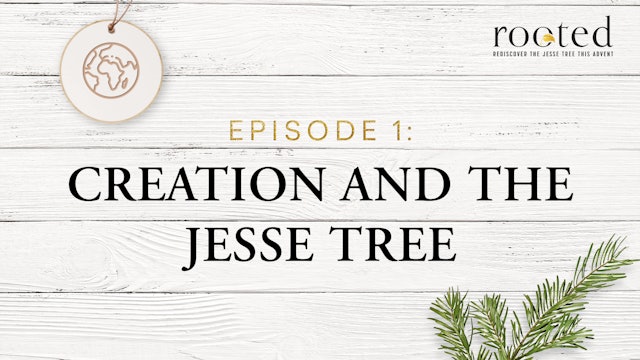 Creation and the Jesse Tree | Rooted | Episode 1