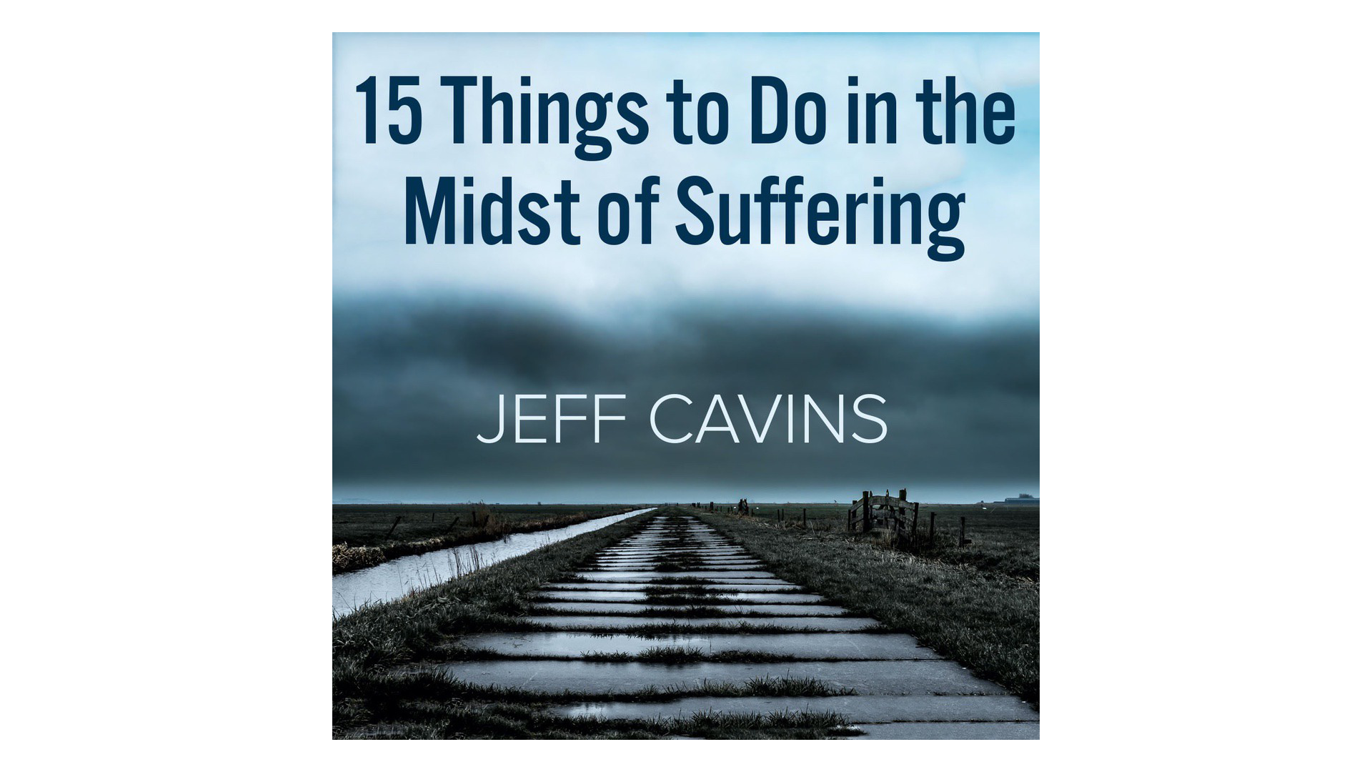15 Things to Do in the Midst of Suffering by Jeff Cavins