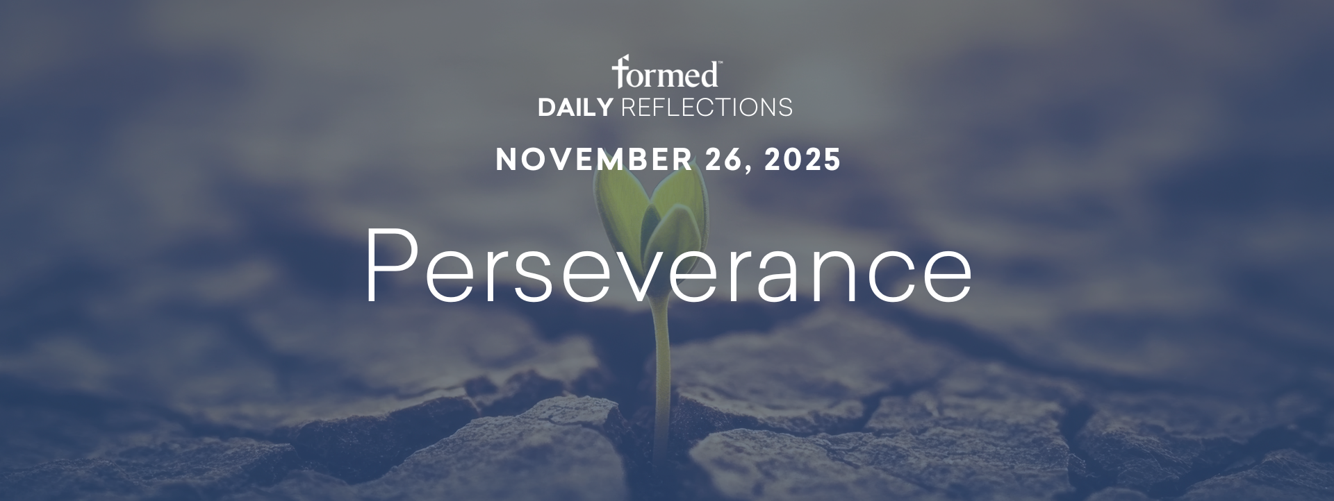 Daily Reflections — November 26, 2025