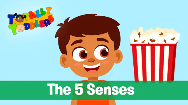 The Five Senses